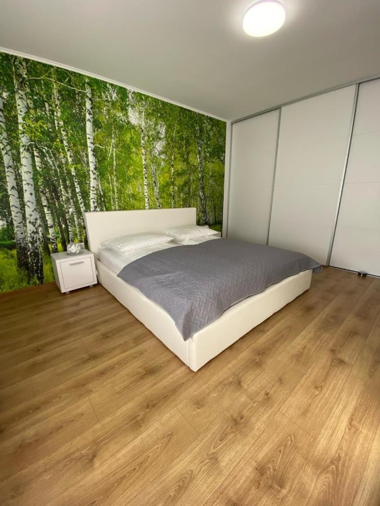 Apartament Nala Mediaş Eksteriør billede